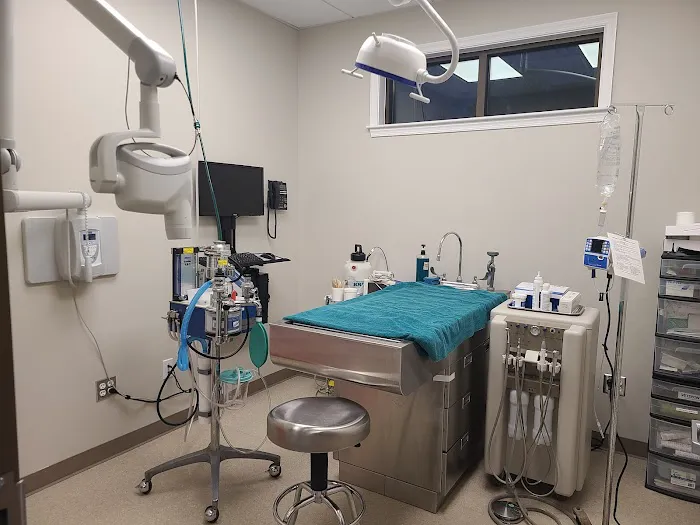 Back Mountain Veterinary Hospital 2