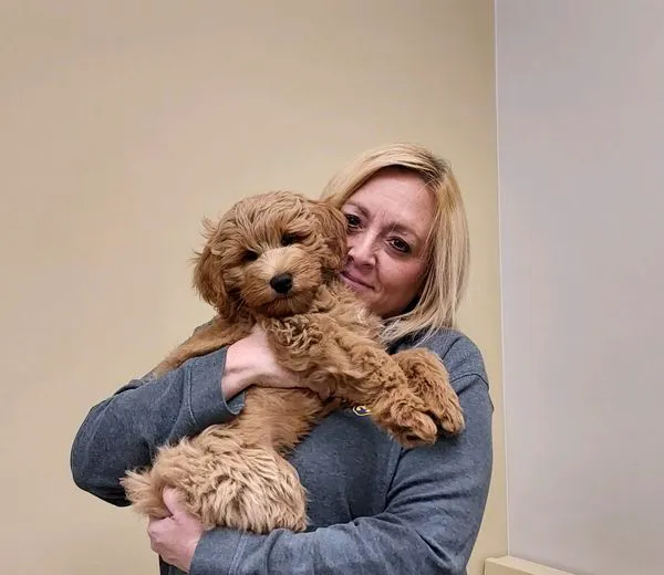 Back Mountain Veterinary Hospital 3