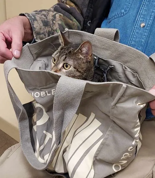 Back Mountain Veterinary Hospital 6