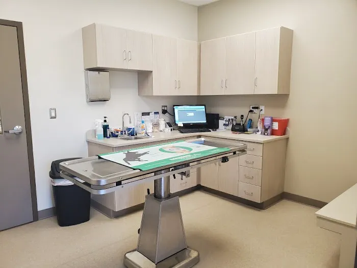 Back Mountain Veterinary Hospital 4