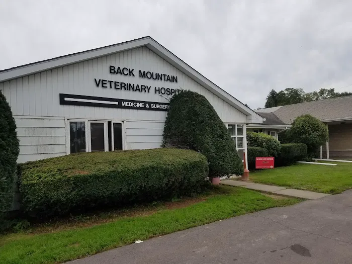 Back Mountain Veterinary Hospital 7