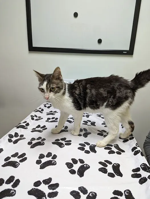 Badgerland Veterinary Clinic 9