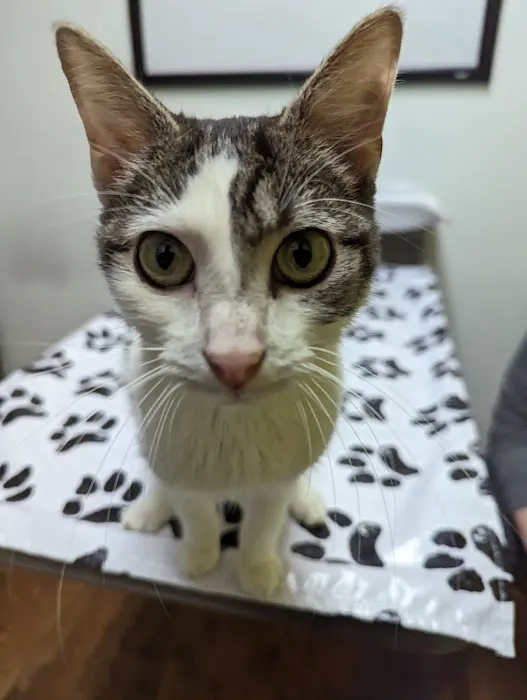 Badgerland Veterinary Clinic 5