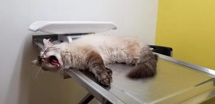 Badgerland Veterinary Clinic 3