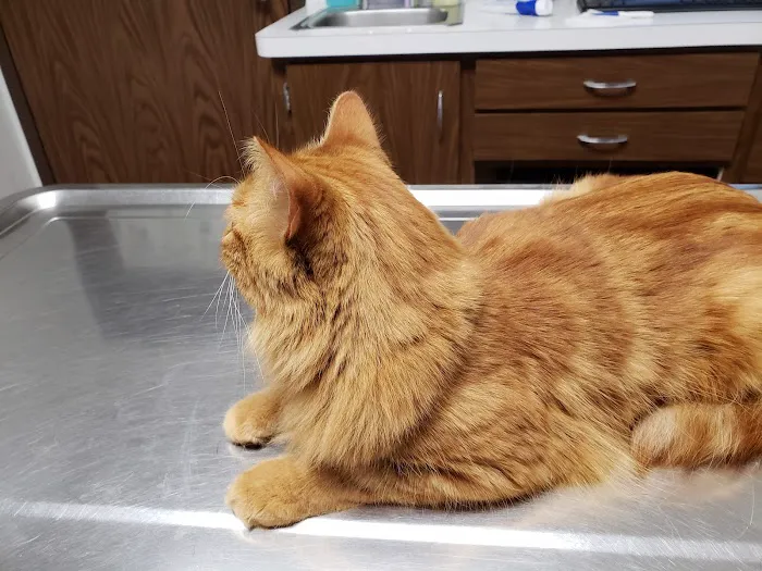 Badgerland Veterinary Clinic 4