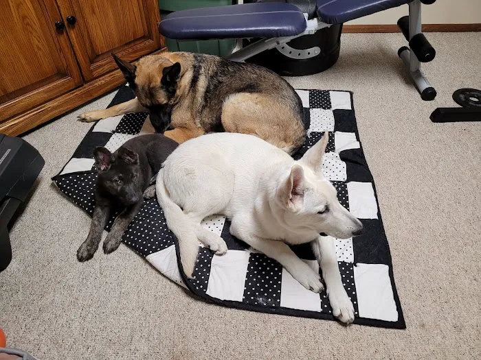 Compassionate Care Animal Clinic - Dr. John Prellwitz 12