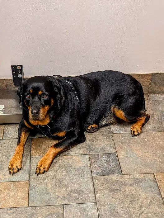 Kettle Moraine Veterinary Clinic 12