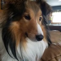 Kettle Moraine Veterinary Clinic ico