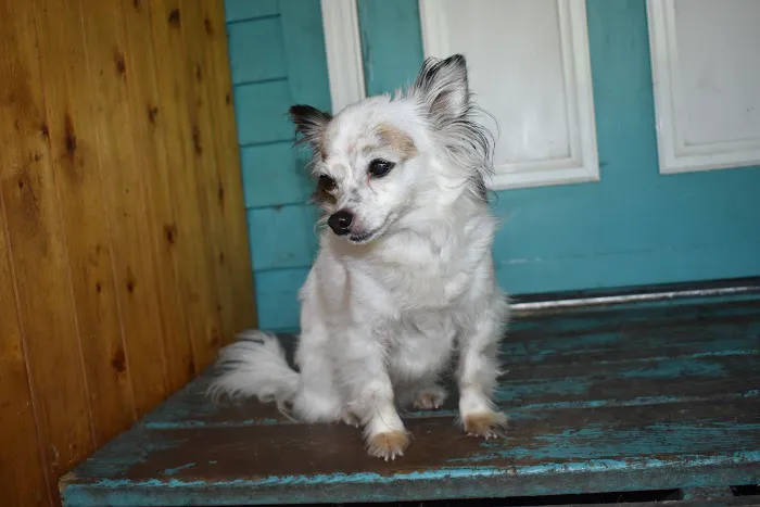 Valders Veterinary Clinic 2