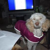 Valders Veterinary Clinic ico