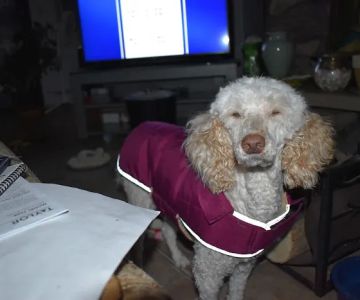 Valders Veterinary Clinic