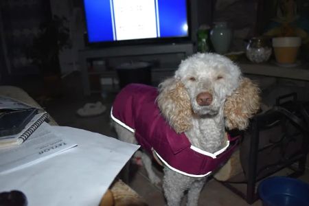 Valders Veterinary Clinic