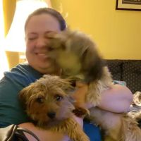 High Cliff Veterinary Services ico