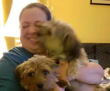 High Cliff Veterinary Services