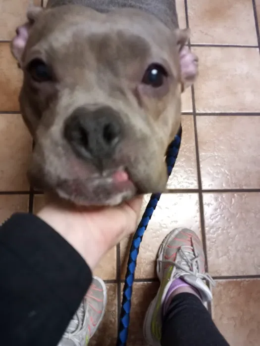 Lakeside Animal Hospital 4