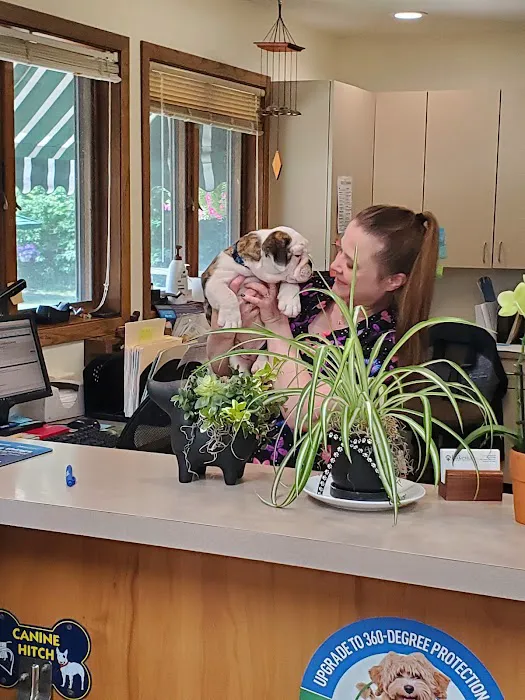 Lakeside Animal Hospital 8