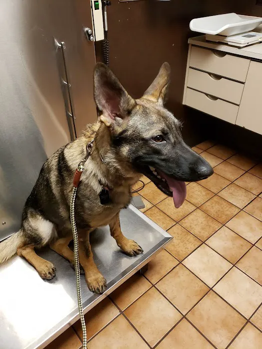 Lakeside Animal Hospital 10