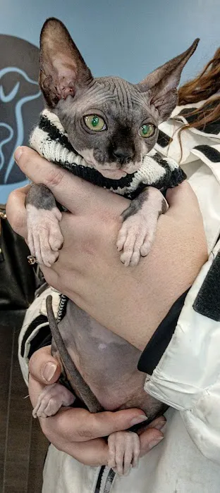 Valley Veterinary Hospital 4
