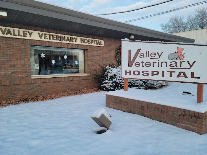 Valley Veterinary Hospital 7