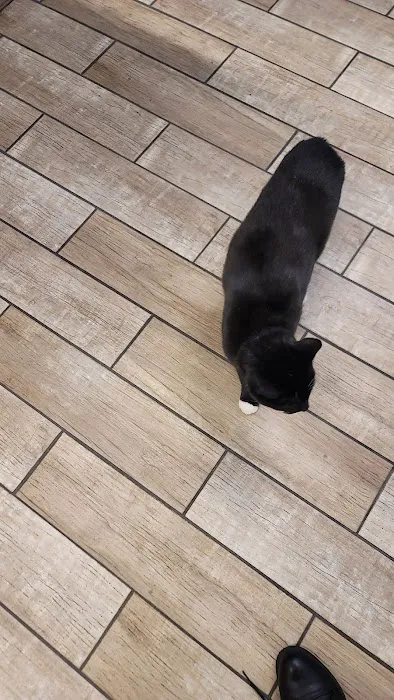 Sheboygan Animal Hospital: Van Beek Stephanie DVM 12