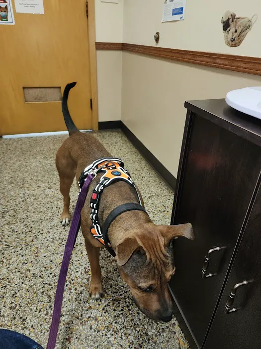 Critter Care Animal Clinic 12