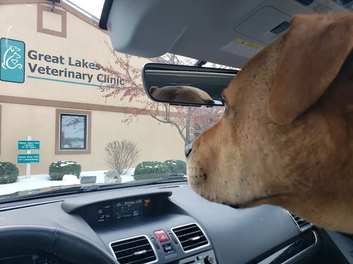 Great Lakes Veterinary Clinic: Randy Van Maanen, DVM 2