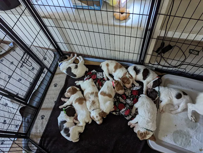 Great Lakes Veterinary Clinic 4