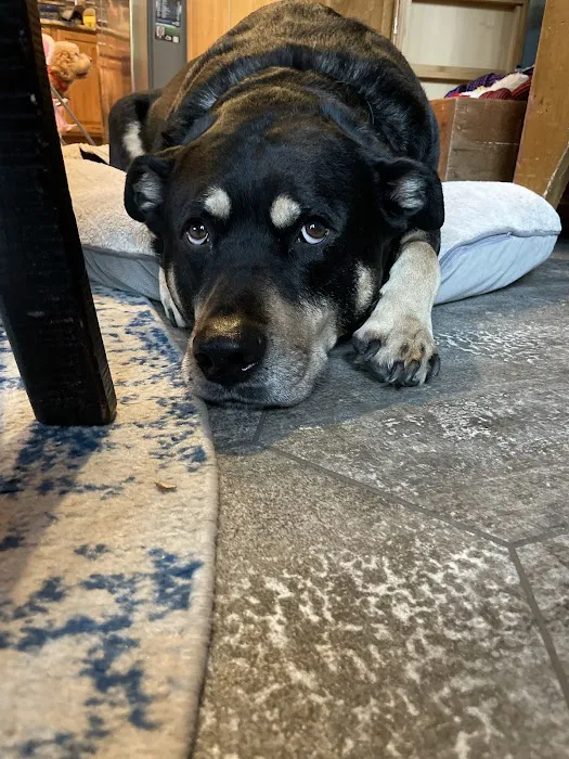 Great Lakes Veterinary Clinic 1