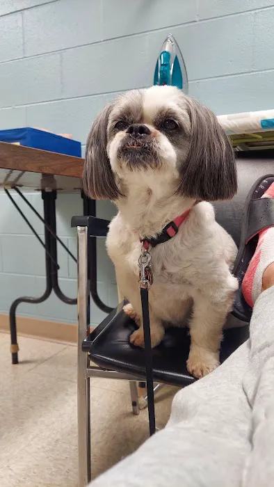 Great Lakes Veterinary Clinic 2