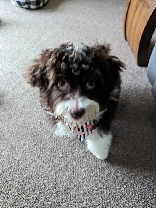 Fox Valley Veterinary Hospital 4