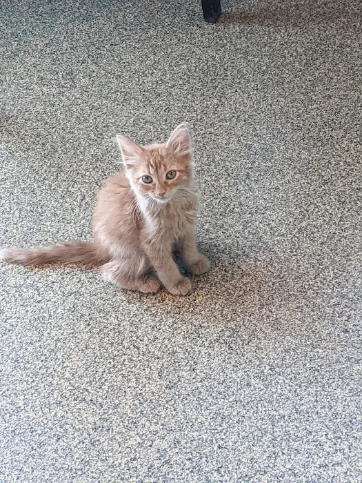 Ottawa Veterinary Hospital 1