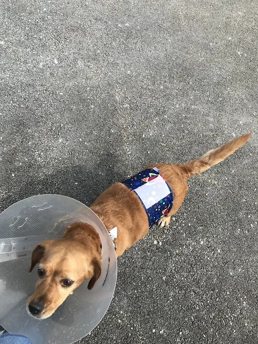 Ottawa Veterinary Hospital 8