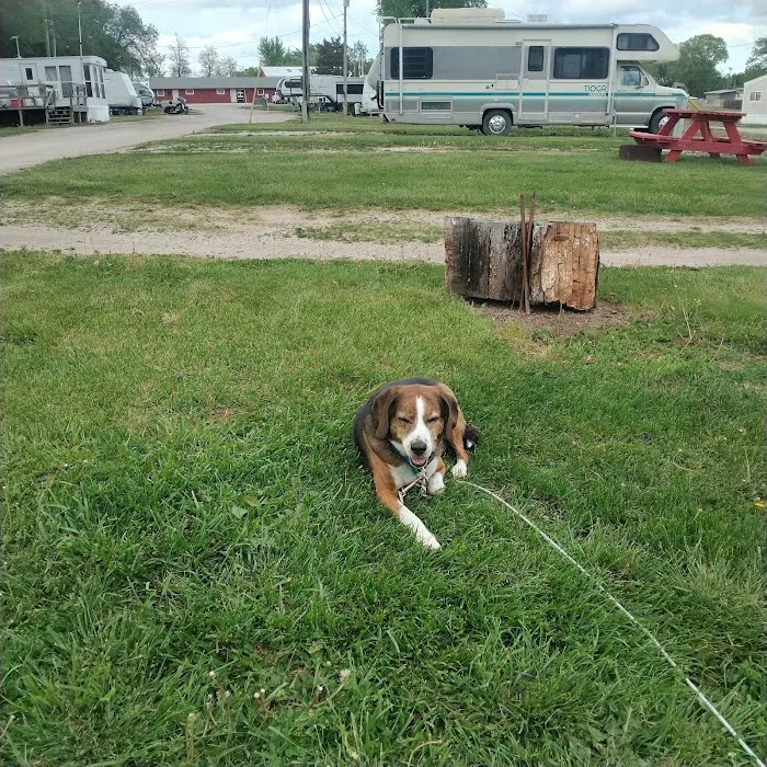 Ottawa Veterinary Hospital 7
