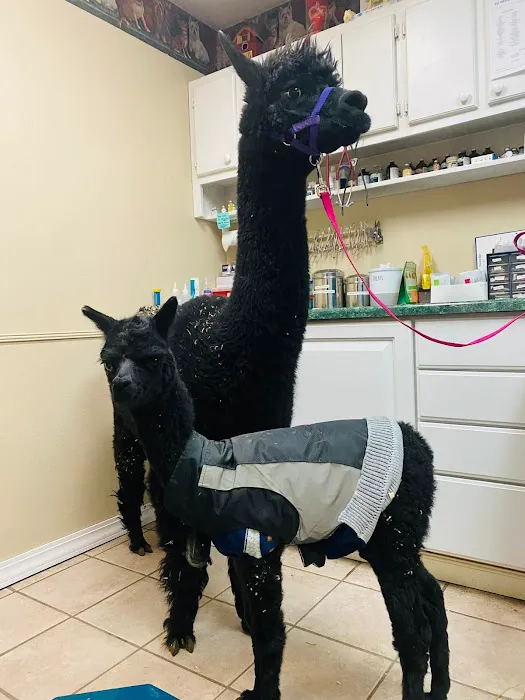 Miller Veterinary Services 9