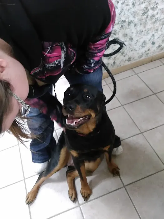 Miller Veterinary Services 2