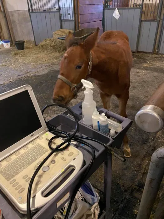 Miller Veterinary Services 3