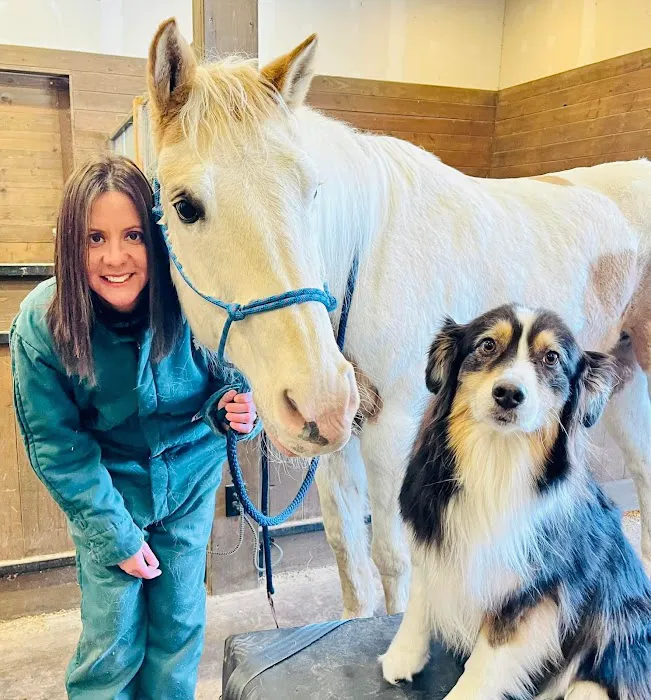Miller Veterinary Services 6