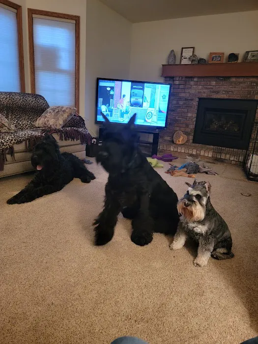 DeWitt Pet Hospital 12