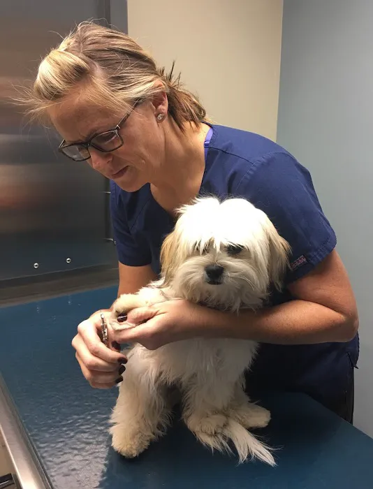 Scott County Animal Hospital 12