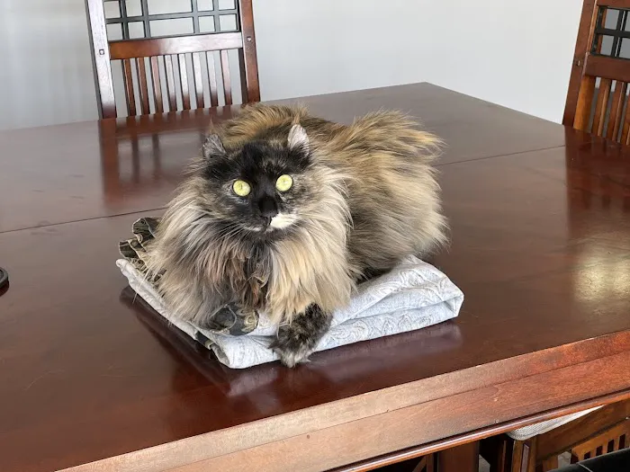 Maplewood Veterinary Center 5