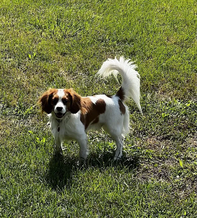 Maplewood Veterinary Center 9