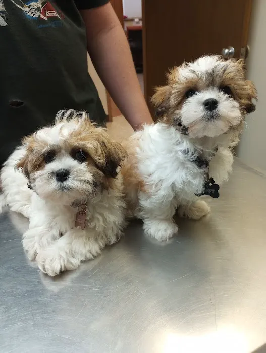 Eldridge Veterinary Clinic P.C. 12