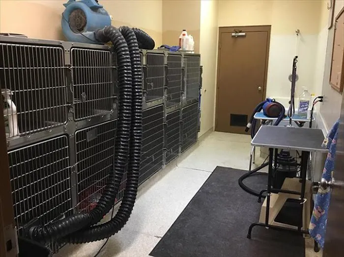Eldridge Veterinary Clinic P.C. 12