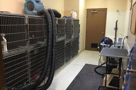 Eldridge Veterinary Clinic P.C.