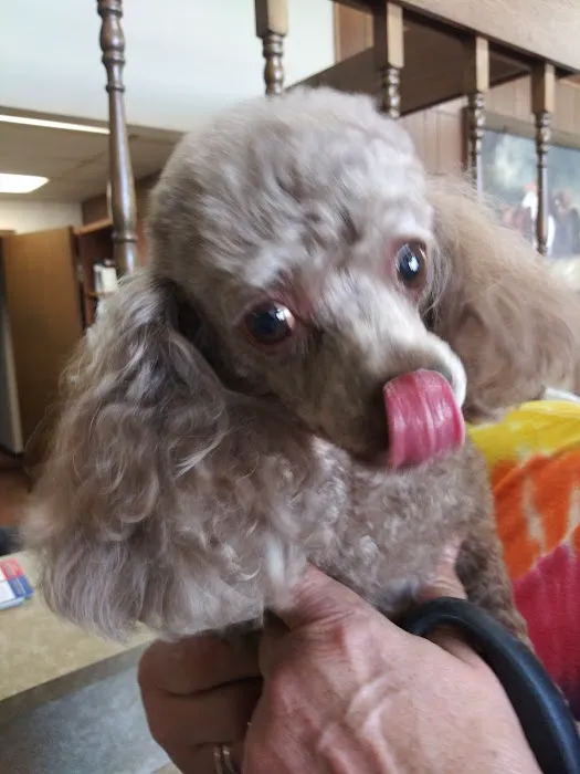 Eldridge Veterinary Clinic P.C. 12