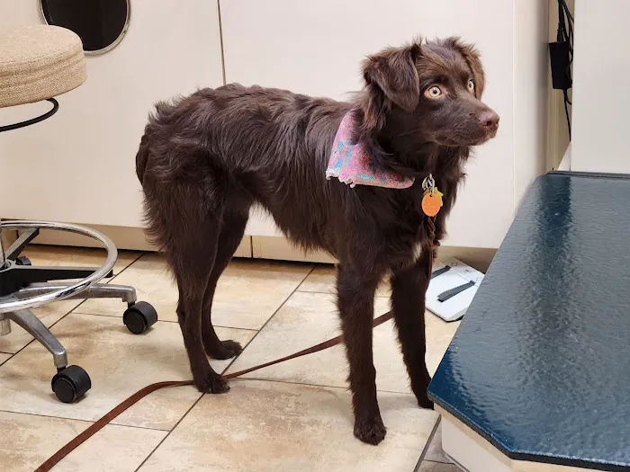 Risius Family Veterinary Service 12