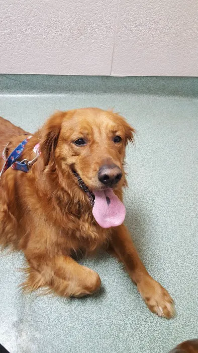 Twin Bridges Animal Hospital 12