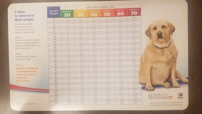 Evansville Veterinary Service 9