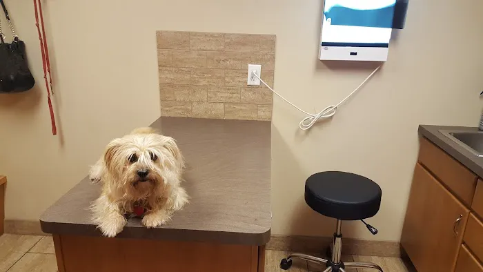 Evansville Veterinary Service 7