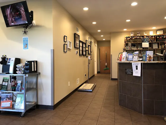 Ashby Animal Clinic 12